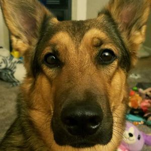 Meet your Posher, Jenn